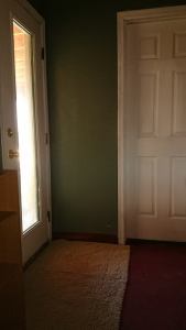 painteddoorsfinished