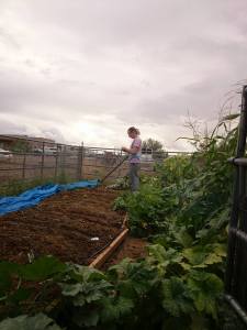 arizonajohngardenofdoom